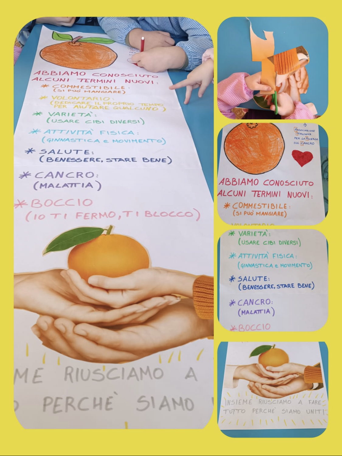 Elaborato classe "C CEMMO"