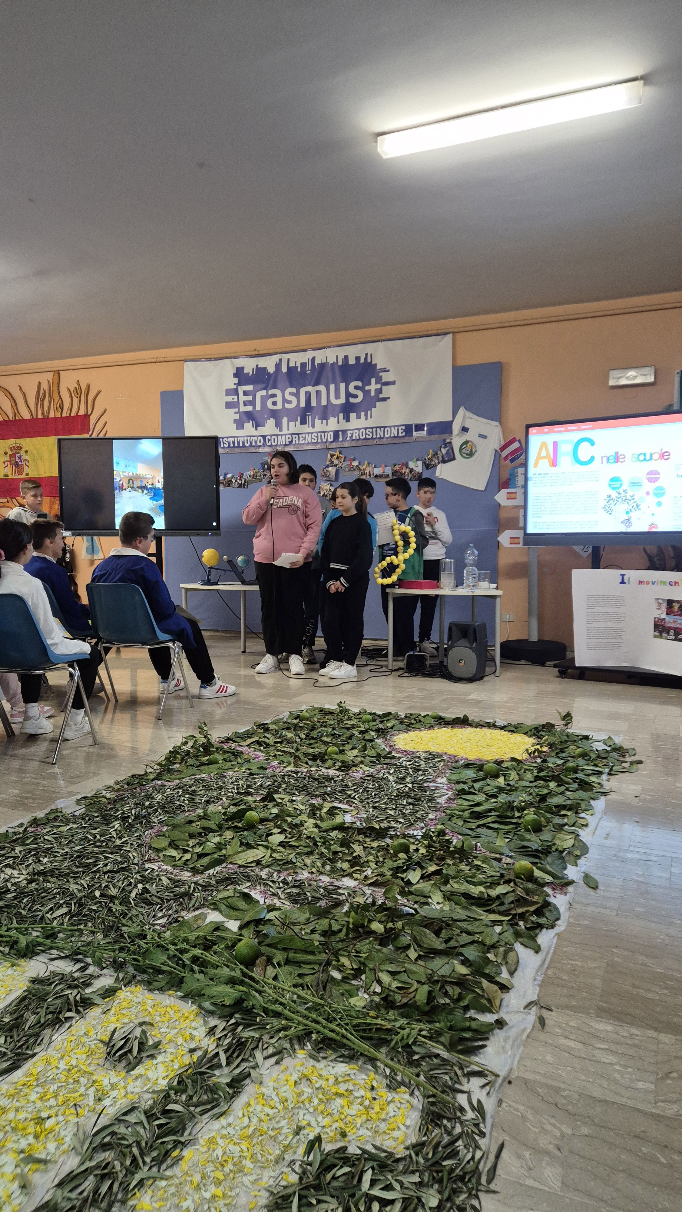 Elaborato classe "2 C"