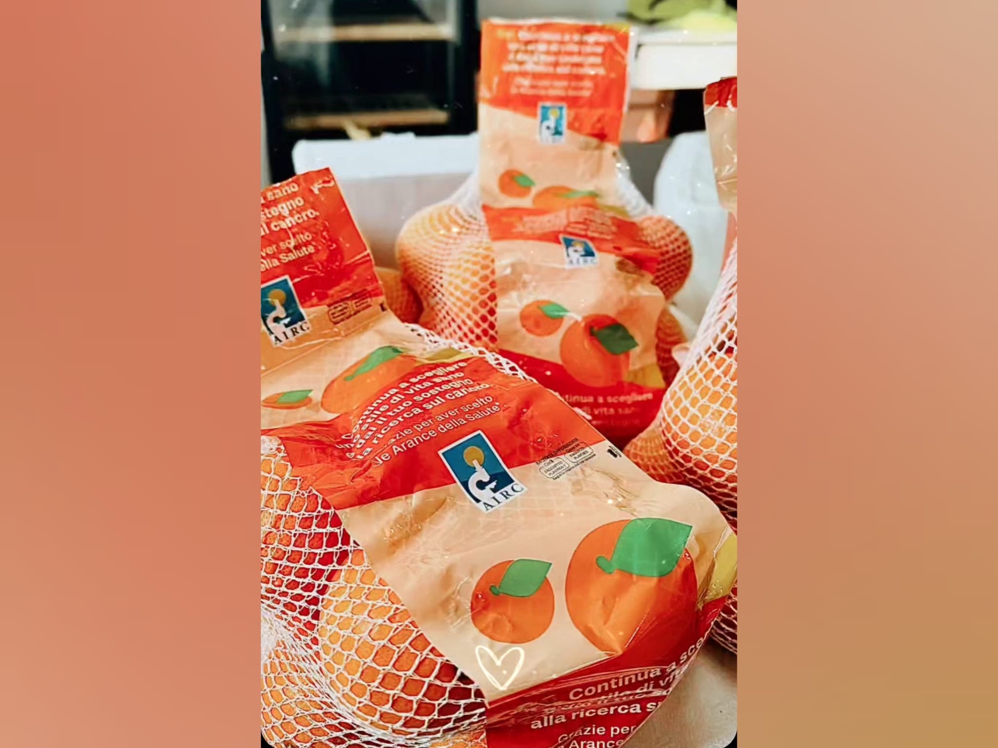 Elaborato classe "3^ B, indirizzo alberghiero"