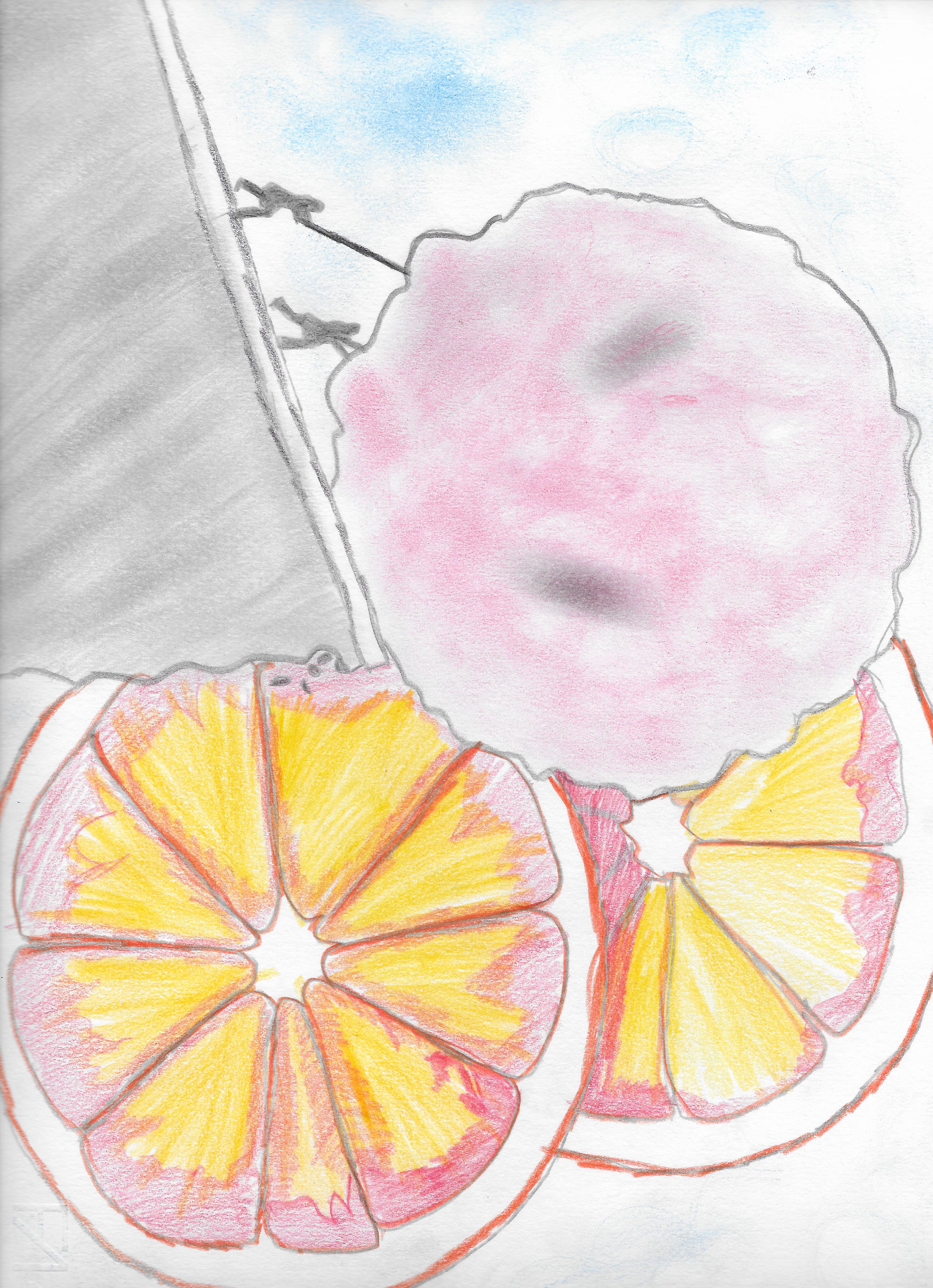 Elaborato classe "5^ B"